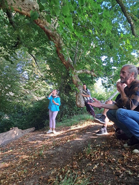 A Tour of Glastonbury - Guided by the Trees - Finding trees among Glastonbury’s lanes