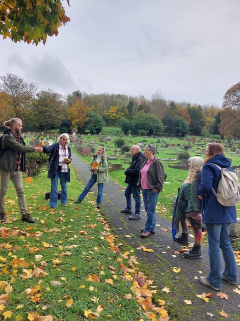 A Tour of Glastonbury - Guided by the Trees - Red and White Springs, with clear expectations