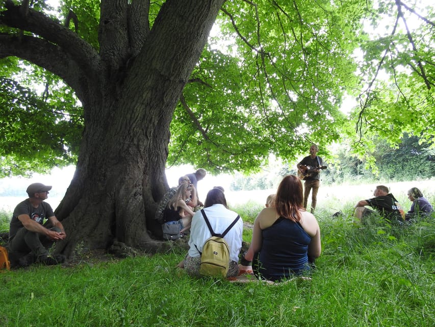 A Tour of Glastonbury - Guided by the Trees - Who should book this Glastonbury walk?