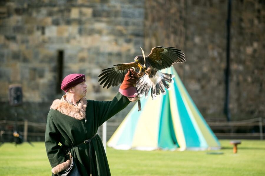 Alnwick: Alnwick Castle Ticket - Artisans Courtyard and Dragon’s Quest