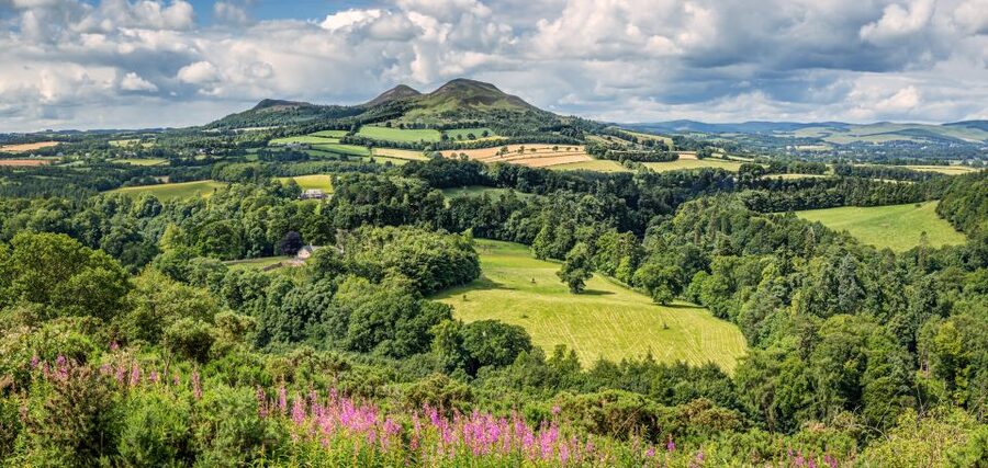 Alnwick Castle, Northumberland & Scottish Borders 1-Day Tour - Leaving Edinburgh at 8:15 AM