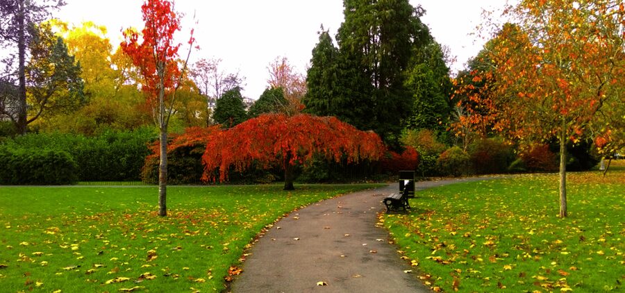Bath : 2 Hour Historic Walking Tour With An App - Jane Austen in Bath
