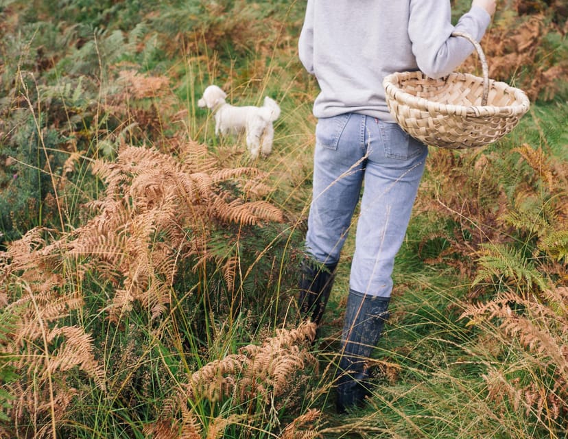 Beginner Foraging Walk: Wild food walking tour & tasters - Key things to know before you go
