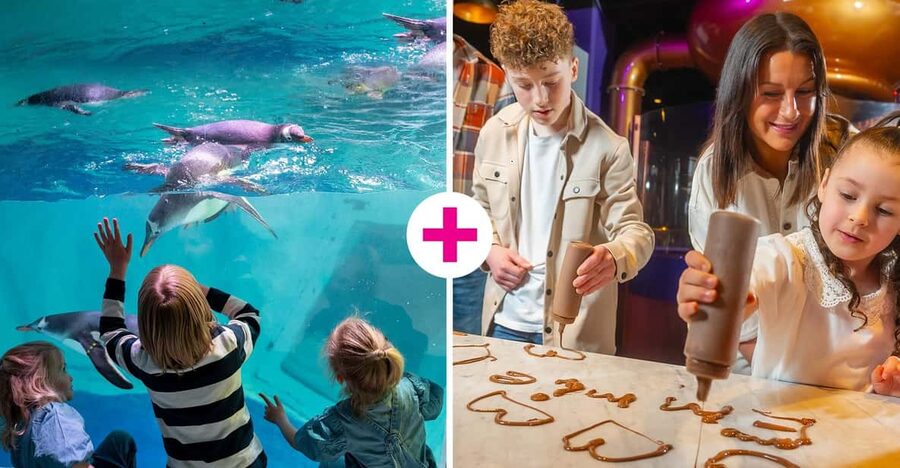Birmingham: Cadbury World & SEA LIFE Birmingham - The Cadbury Café, shop, and play area