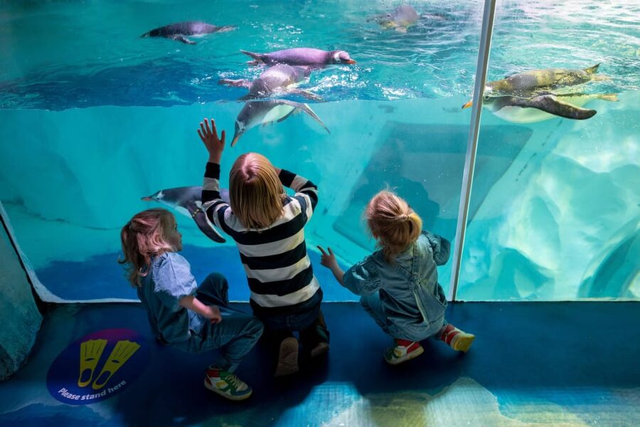 Birmingham: Cadbury World + SEA LIFE + LEGOLAND Discovery - Should you book this Birmingham family pass?