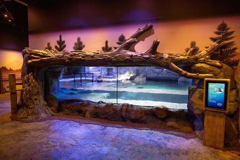 Birmingham: National Sea Life Centre Entrance Ticket - A marine attraction in Birmingham’s city centre