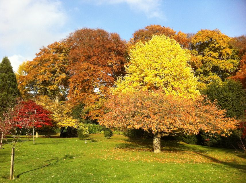 Birmingham: Winterbourne House and Garden Admission Ticket - Key points to know before you go