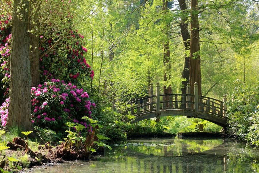 Birmingham: Winterbourne House and Garden Admission Ticket - Why Winterbourne makes a good Birmingham break