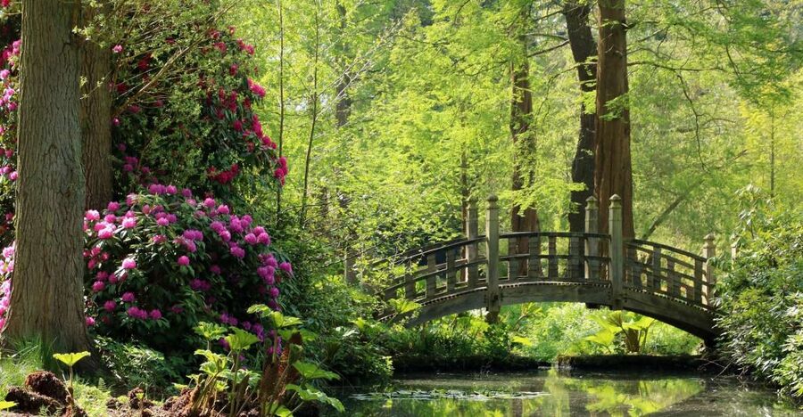 Birmingham: Winterbourne House and Garden Admission Ticket - Tea room, shop, and second-hand books