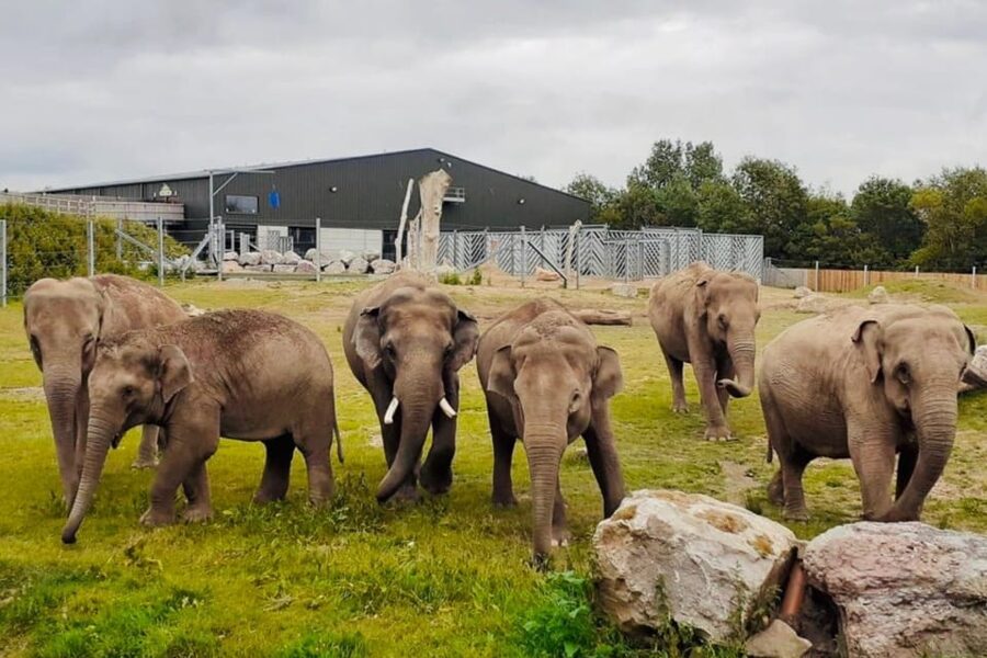 Blackpool: Zoo Admission Ticket - Key points to know before you go