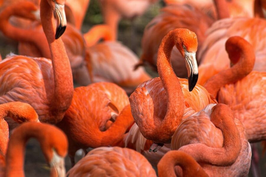Blackpool: Zoo Admission Ticket - Accessibility and small details that matter