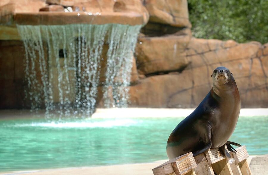 Blackpool: Zoo Admission Ticket - Play areas and a comfortable family pace