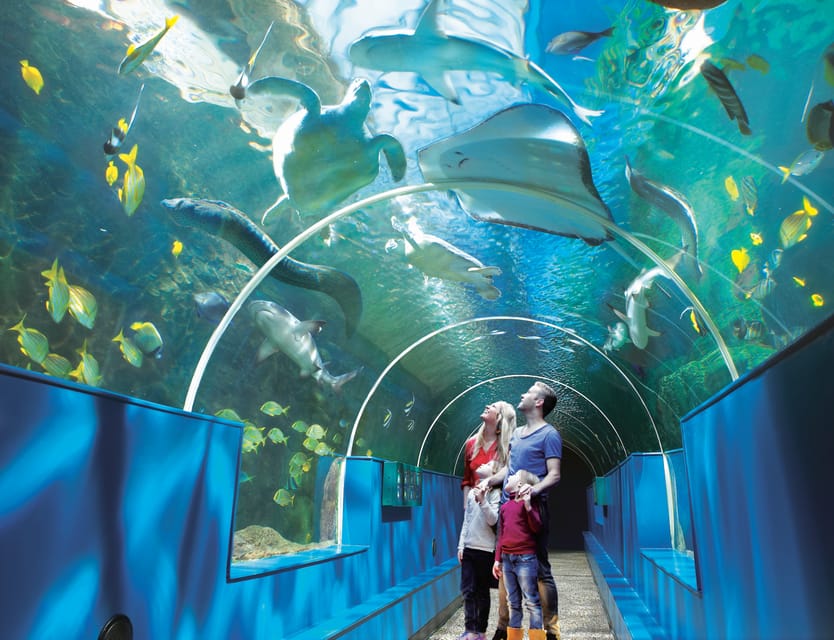 Bournemouth Oceanarium Ticket - From Key West fish to the Amazon undergrowth