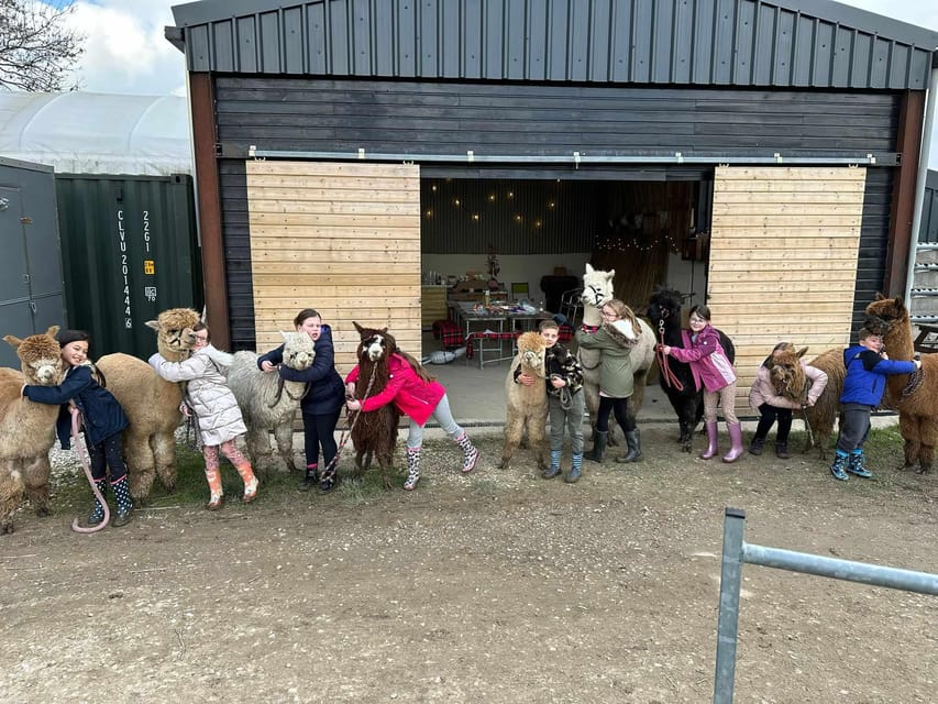 Brackenfield: Alpaca Trek - Practical clothing and timing advice