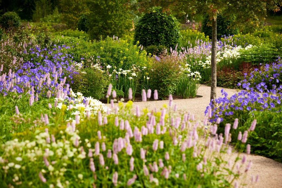 Bridgewater: Royal Horticultural Society Garden Ticket - The Chinese Streamside Gardens and slower walking