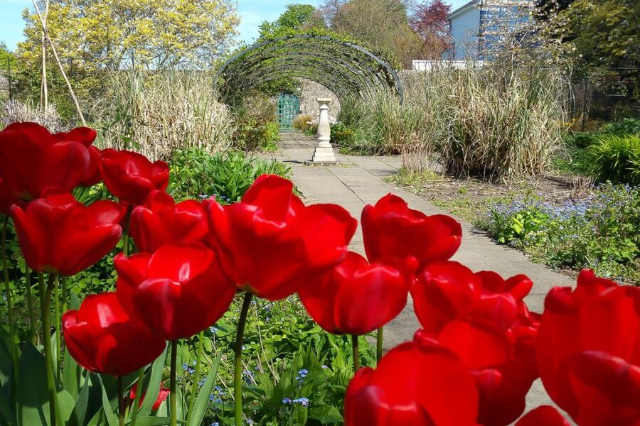 Brighton City Bike Tour - The Royal Pavilion and Brighton’s theatrical side