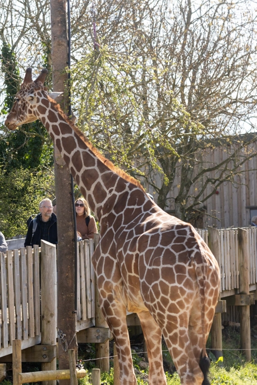 Bristol: Bristol Zoo Project Entry Ticket - Play areas make the day easier for families