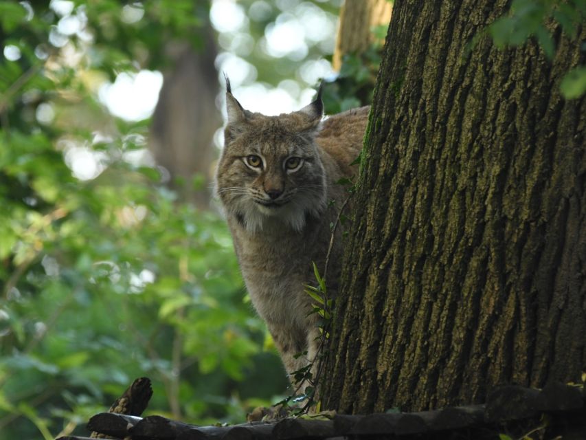 Bristol: Bristol Zoo Project Entry Ticket - Is the $22.04 ticket good value?