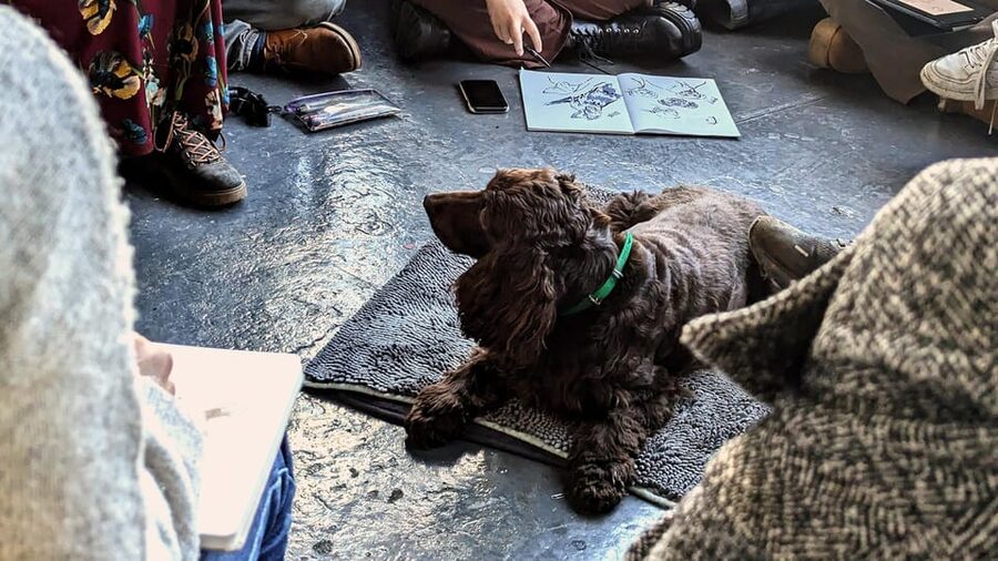 Bristol: Dog Life Drawing led by local Artist Cai Burton - Key points to know before booking