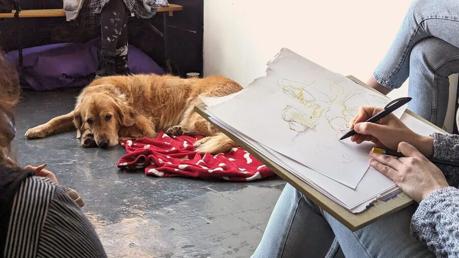 Bristol: Dog Life Drawing led by local Artist Cai Burton - Who should book this dog life-drawing class?
