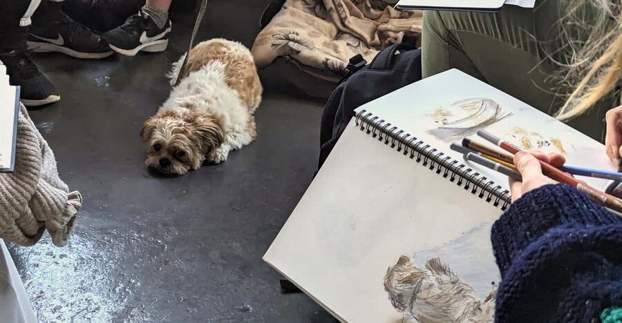 Bristol: Dog Life Drawing led by local Artist Cai Burton - Why drawing dogs makes this Bristol class different