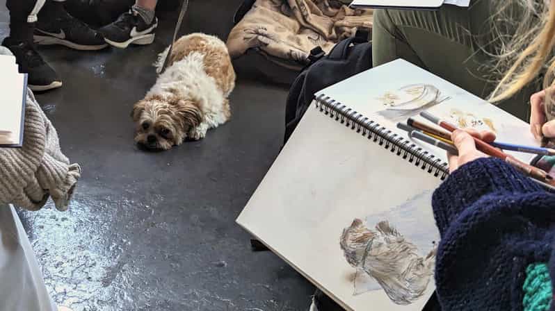 Bristol: Dog Life Drawing led by local Artist Cai Burton - A social afternoon for dog lovers and artists