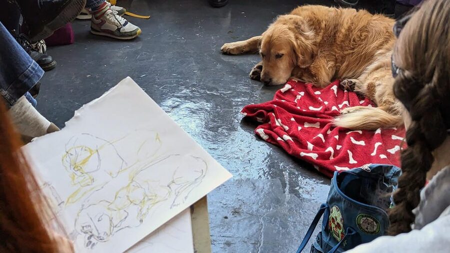 Bristol: Dog Life Drawing led by local Artist Cai Burton - Arriving at KIT FORM in Jamaica Street Studios