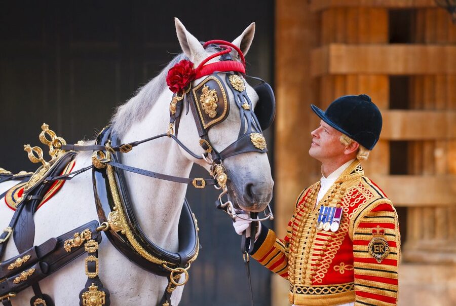 Buckingham Palace: The Royal Mews Entrance Ticket - Key points at a glance