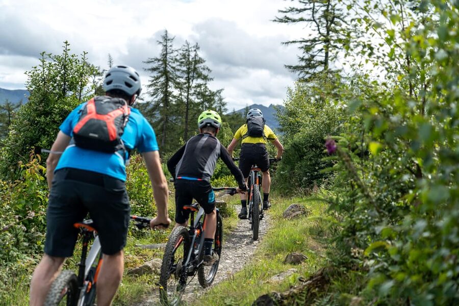 Castlewellan:Electric Mountain Biking Escape - Castlewellan Forest Park and the Peace Maze