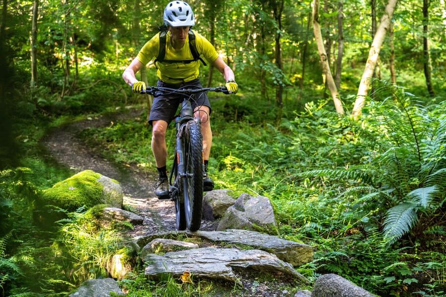 Castlewellan:Electric Mountain Biking Escape - Getting comfortable on a Cube electric bike
