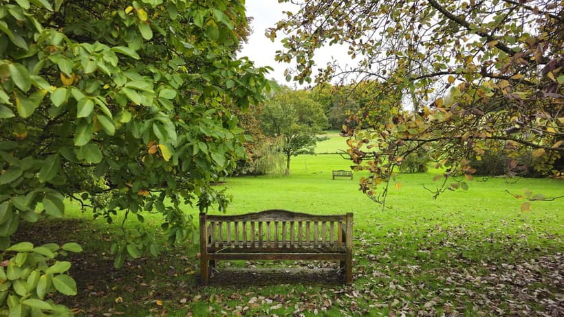 Chawton: Village tour to discover its ties to Jane Austen - Key points at a glance