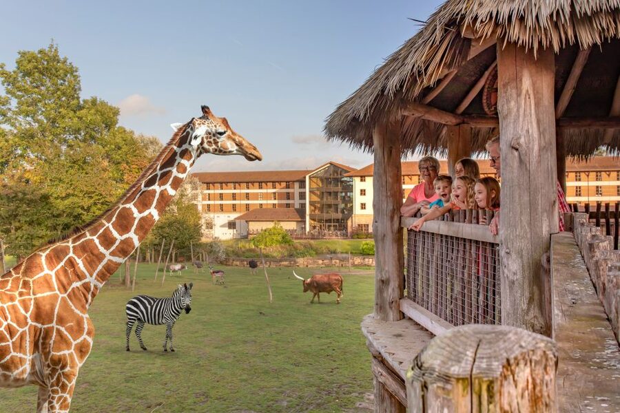 Chessington World of Adventures Resort: Entrance Ticket - How to plan a smoother day