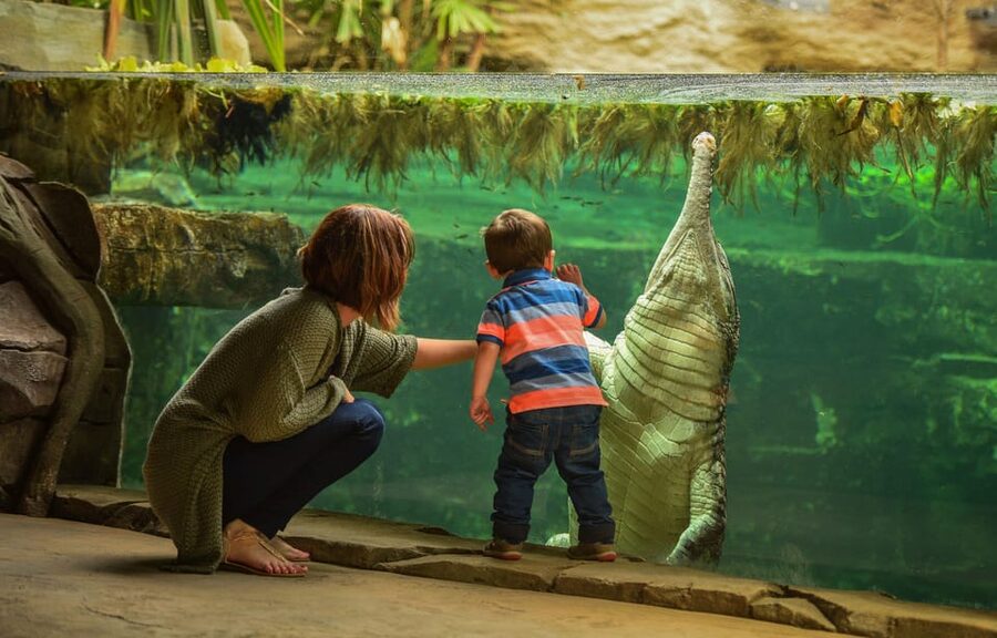 Chester: Chester Zoo Entry Ticket - Islands, the Lazy River Boat, and Monsoon Forest