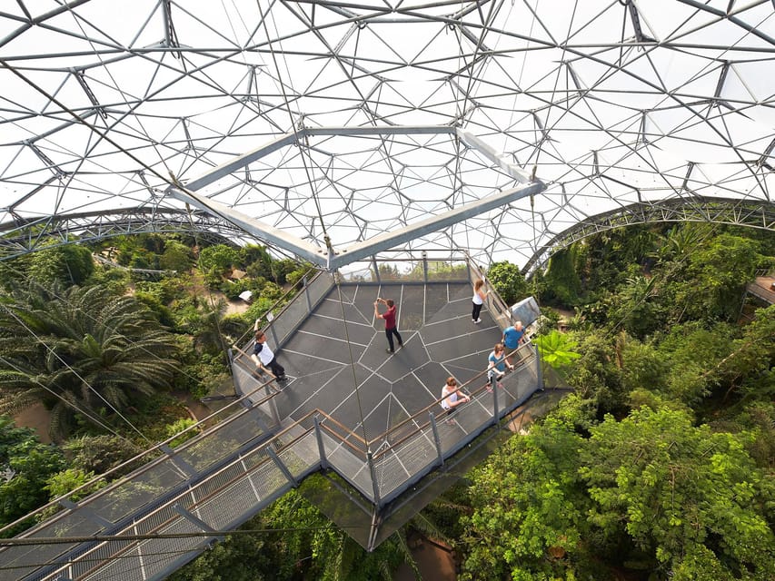 Cornwall: Eden Project Entry Ticket - Christmas lights and seasonal visits