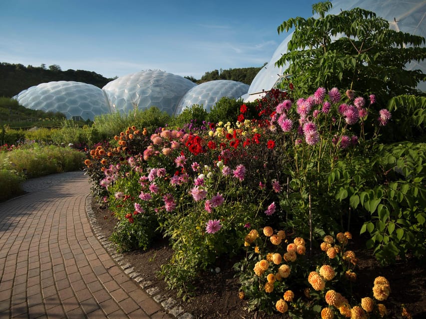 Cornwall: Eden Project Entry Ticket - The Mediterranean Biome: calmer and easier to browse