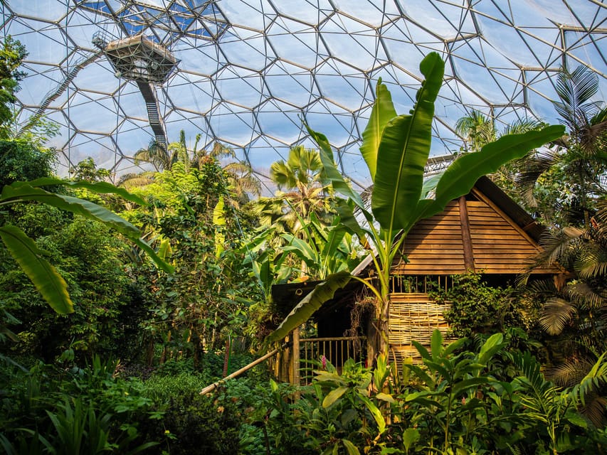 Cornwall: Eden Project Entry Ticket - Food, water, toilets, and practical comfort