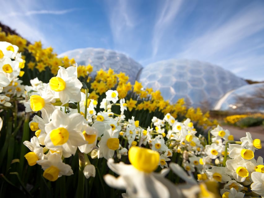 Cornwall: Eden Project Entry Ticket - Is the $51 ticket good value?