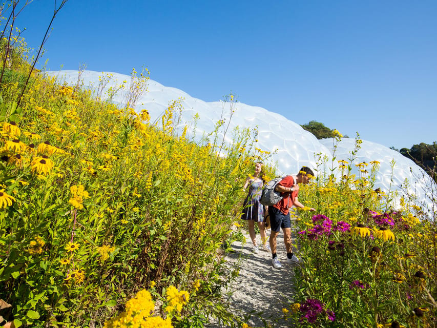 Cornwall: Eden Project Entry Ticket - Families, older visitors, and dog owners