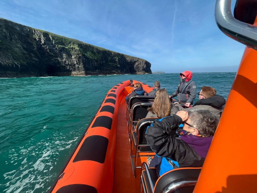 Cornwall: Guided Seal Safari by Boat - What the Padstow boat trip is really like