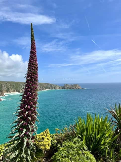 Cornwall: Private Guided Tour - The small extras that make the day memorable