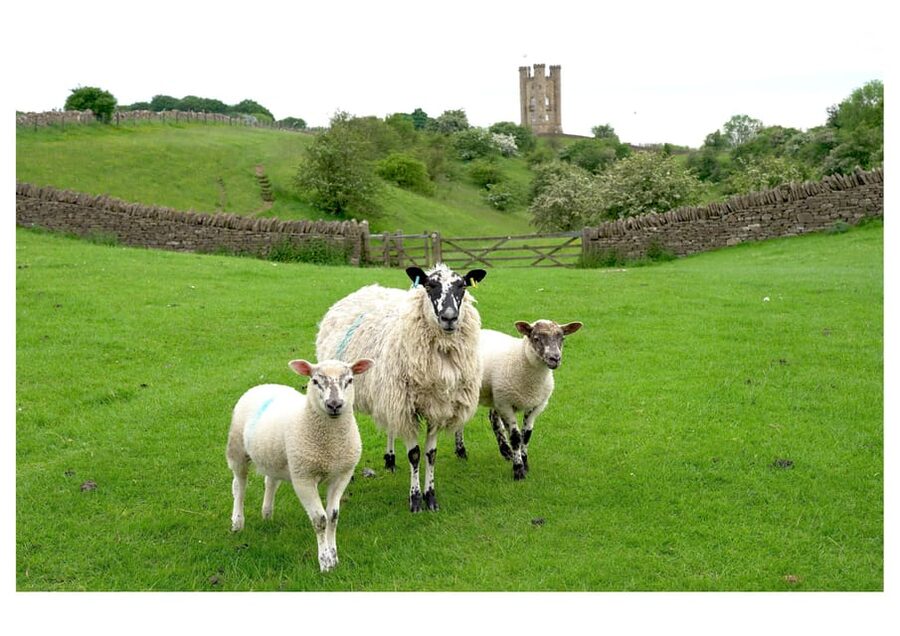 Cotswolds Villages & Countryside: Private Luxury Tour - Coln Saint Dennis and the value of passing through