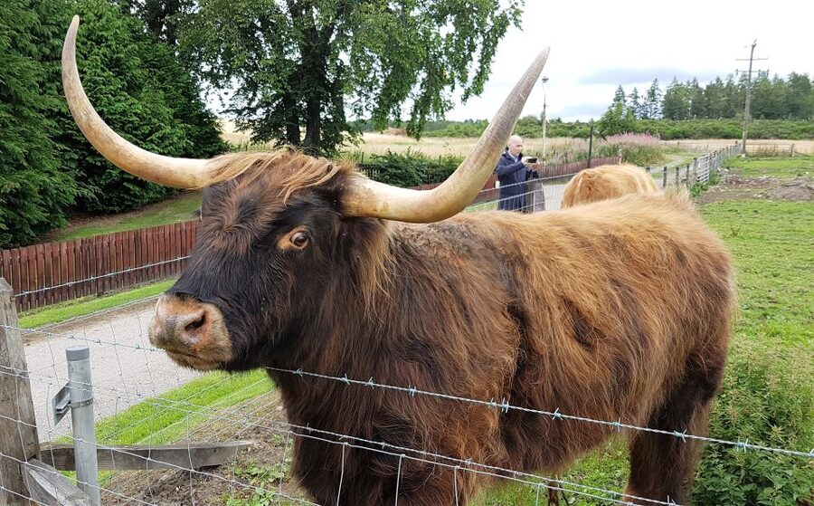 Craigs Luxury Speyside Private Whisky Tour - Glenfarclas, lunch, and the value of planning