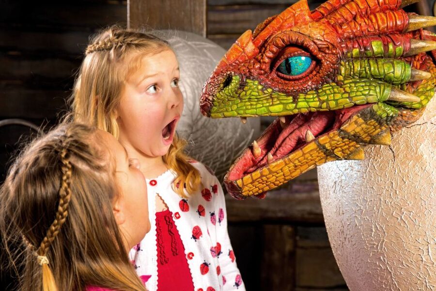 DreamWorks Shrek's Adventure and London Eye: Combo Ticket - Who will enjoy this combo most
