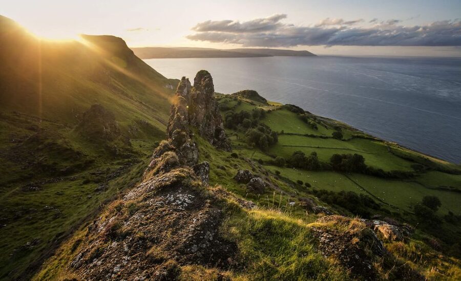 Dublin: Giant's Causeway, Dark Hedges & Titanic Guided Tour - The Dark Hedges: beautiful, famous, and quick
