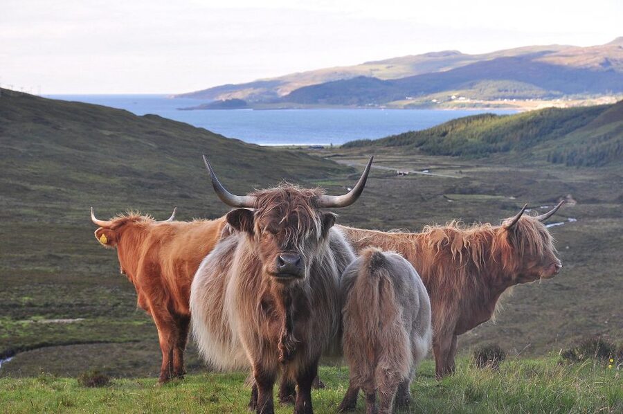 Edinburgh: 2-Day Loch Ness, Glencoe & Highlands Tour - Glencoe: Scotland’s dramatic film country