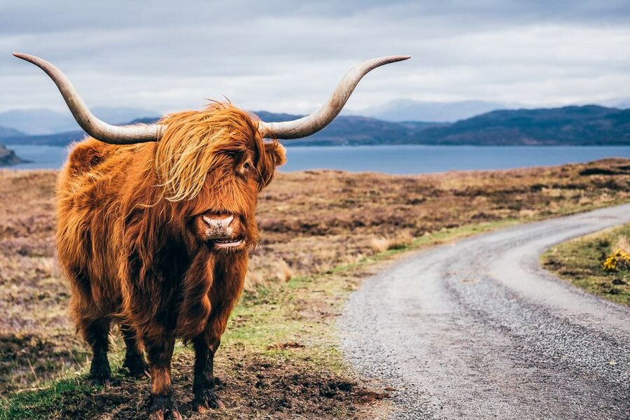 Edinburgh: 3-Day Isle of Skye, Highlands, and Loch Ness Tour - Leaving Edinburgh for Loch Lomond and Luss