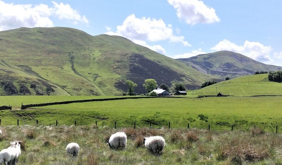 Edinburgh: Hill & Nature Hike With a Local - Nature lessons along the trail