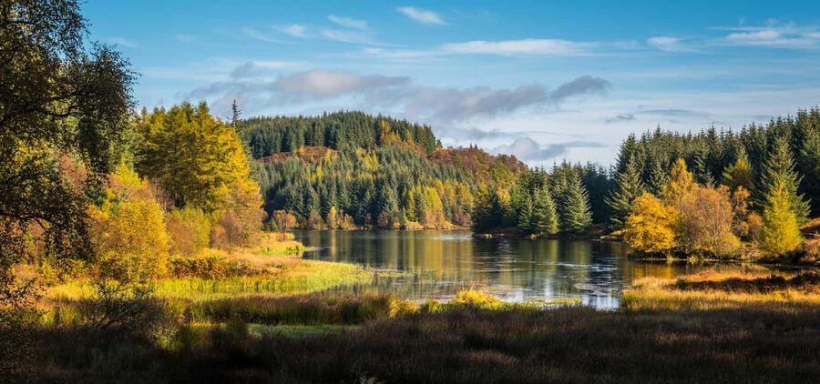 Edinburgh: Loch Lomond, Stirling Castle, and Kelpies Tour - Spending 90 minutes inside Stirling Castle