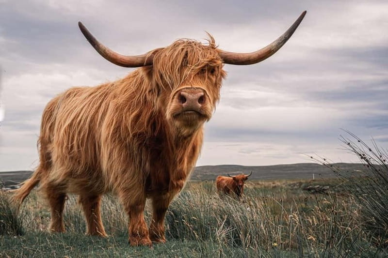Edinburgh: Loch Ness, Inverness & Highlands Tour in Spanish - Glencoe and the Three Sisters