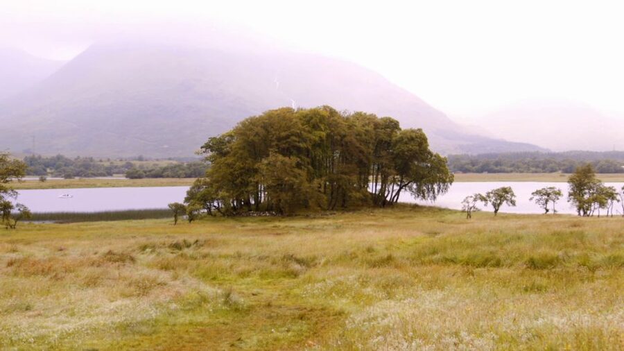 Edinburgh: Oban, Kilchurn Castle & Inveraray Tour in Spanish - Argyll Forest Park and the return through Balloch
